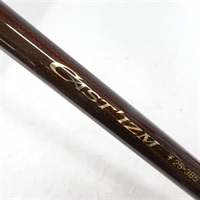 １３キャスティズムＴ２５－３８５